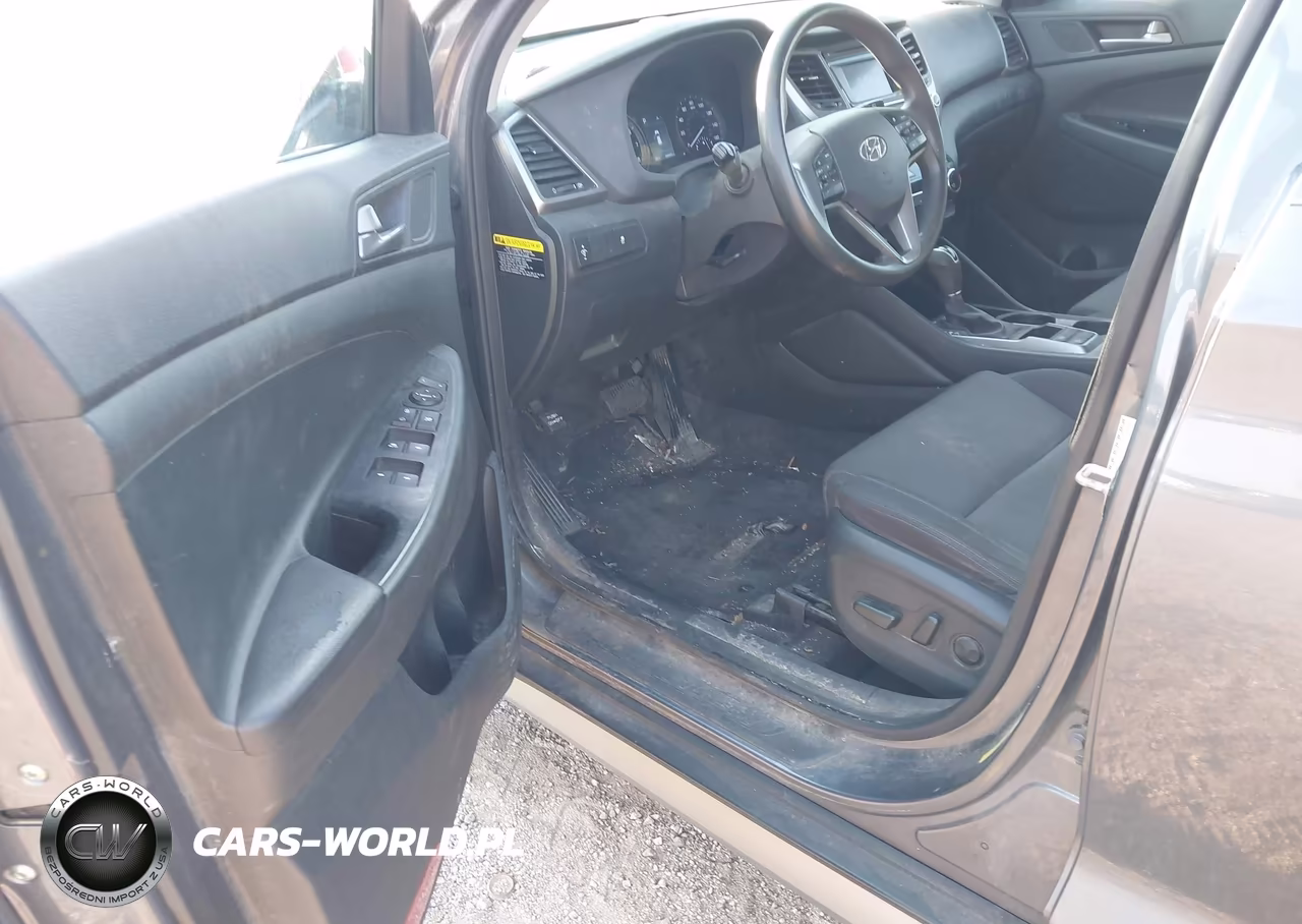 2017 Hyundai Tucson Eco VIN:KM8J33A25HU331993 - 18