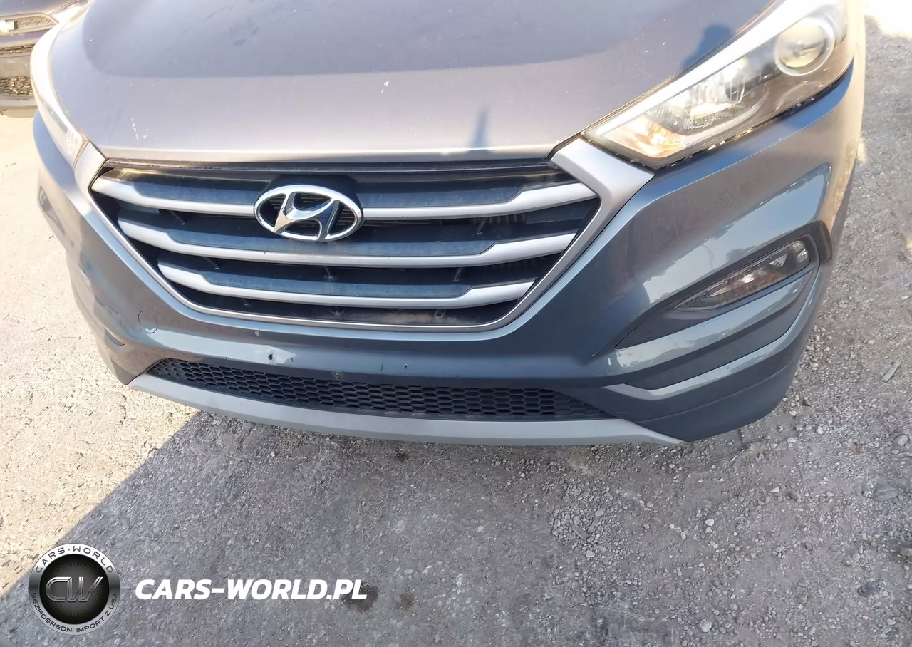 2017 Hyundai Tucson Eco VIN:KM8J33A25HU331993 - 19