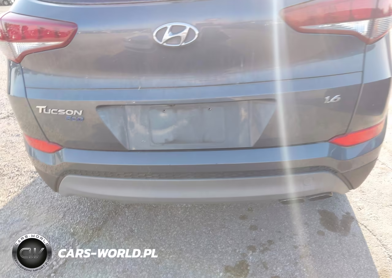 2017 Hyundai Tucson Eco VIN:KM8J33A25HU331993 - 20