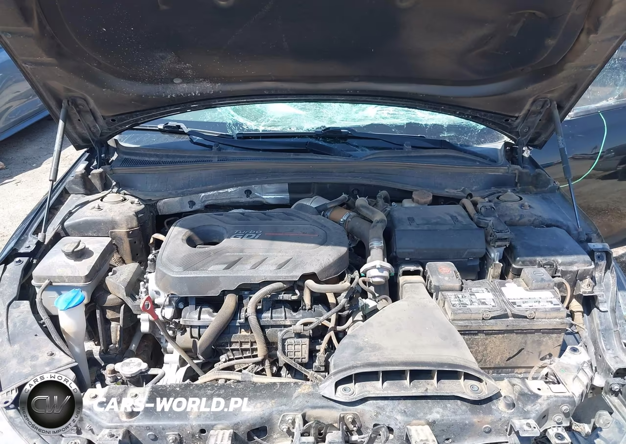 2019 Kia Optima Sx Turbo VIN:5XXGW4L23KG323333 - 10