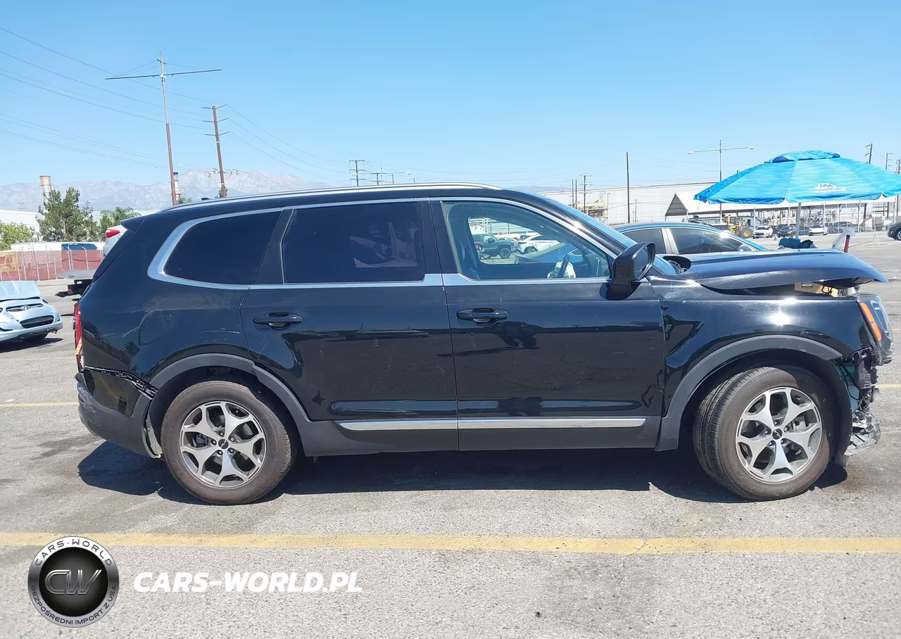 2022 Kia Telluride Ex VIN:5XYP34HC6NG264269 - 12