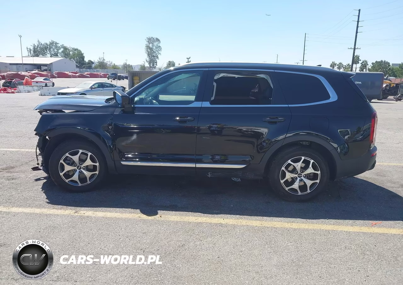 2022 Kia Telluride Ex VIN:5XYP34HC6NG264269 - 13