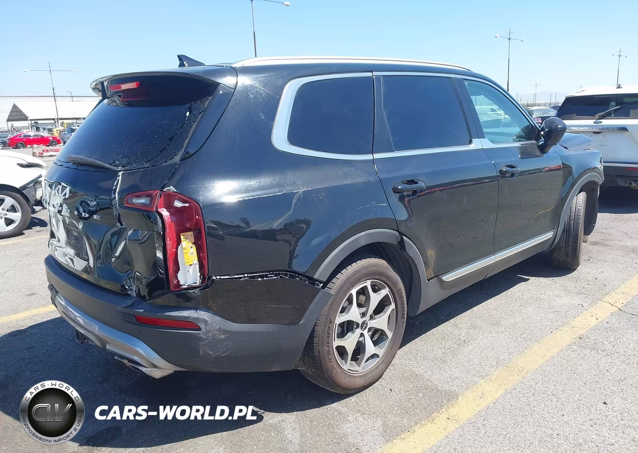 2022 Kia Telluride Ex VIN:5XYP34HC6NG264269 - 4