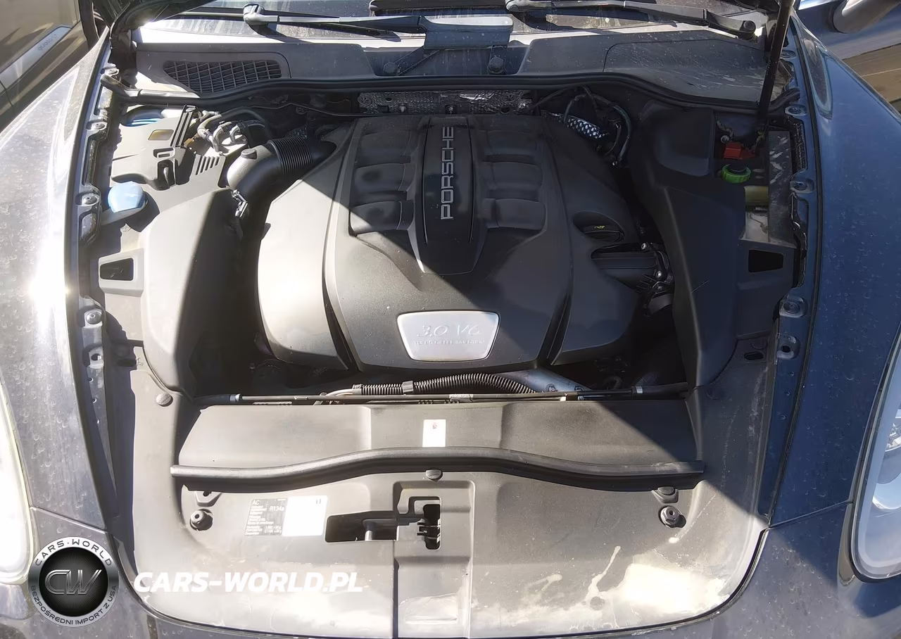 2014 Porsche Cayenne Diesel VIN:WP1AF2A22ELA39515 - 10