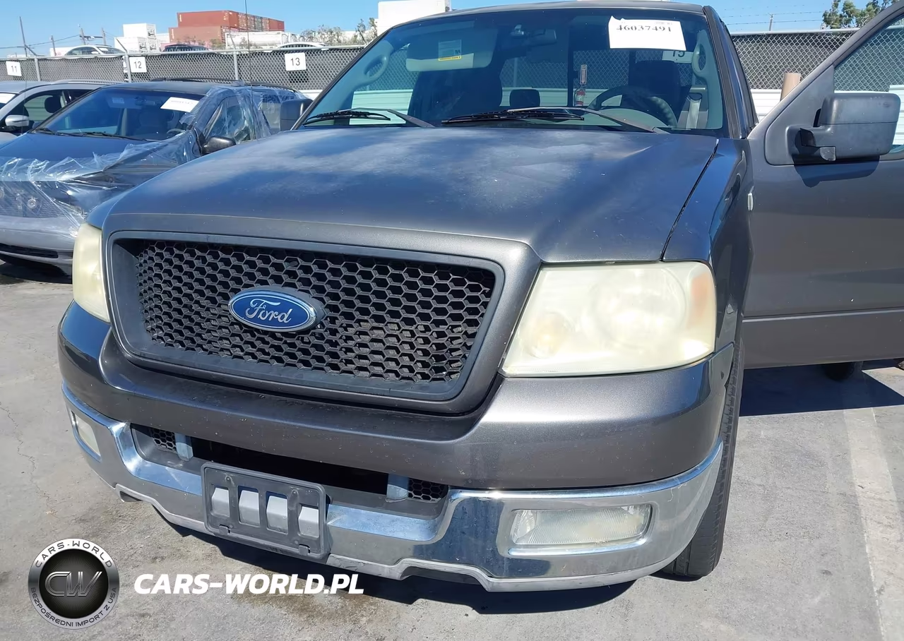 2004 Ford F-150 Stx-Xl-Xlt VIN:1FTRX12W64NB22381 - 6