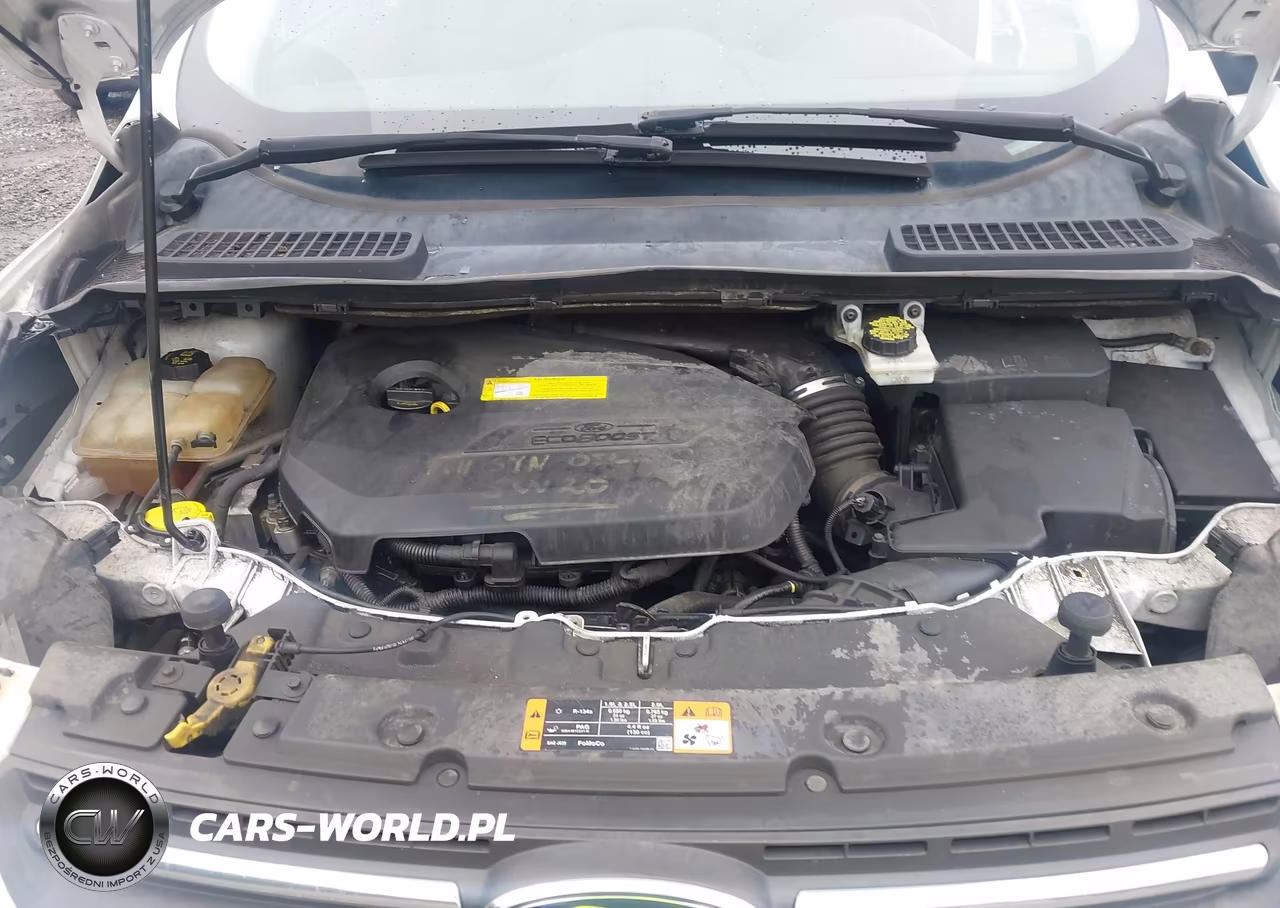 2016 Ford Escape Se VIN:1FMCU9GXXGUA02345 - 10