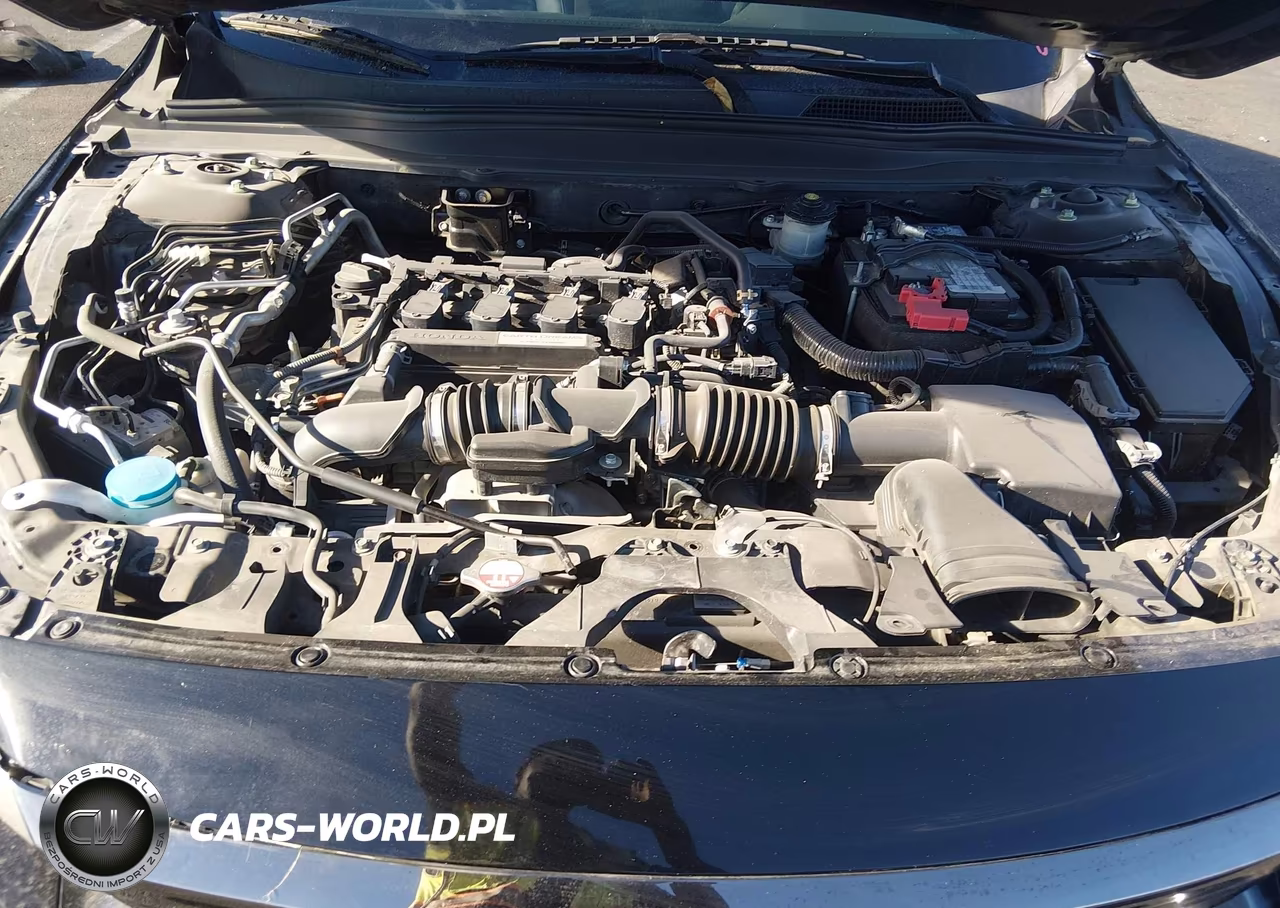 HONDA ACCORD VIN:1HGCV1F33LA016778 - 10