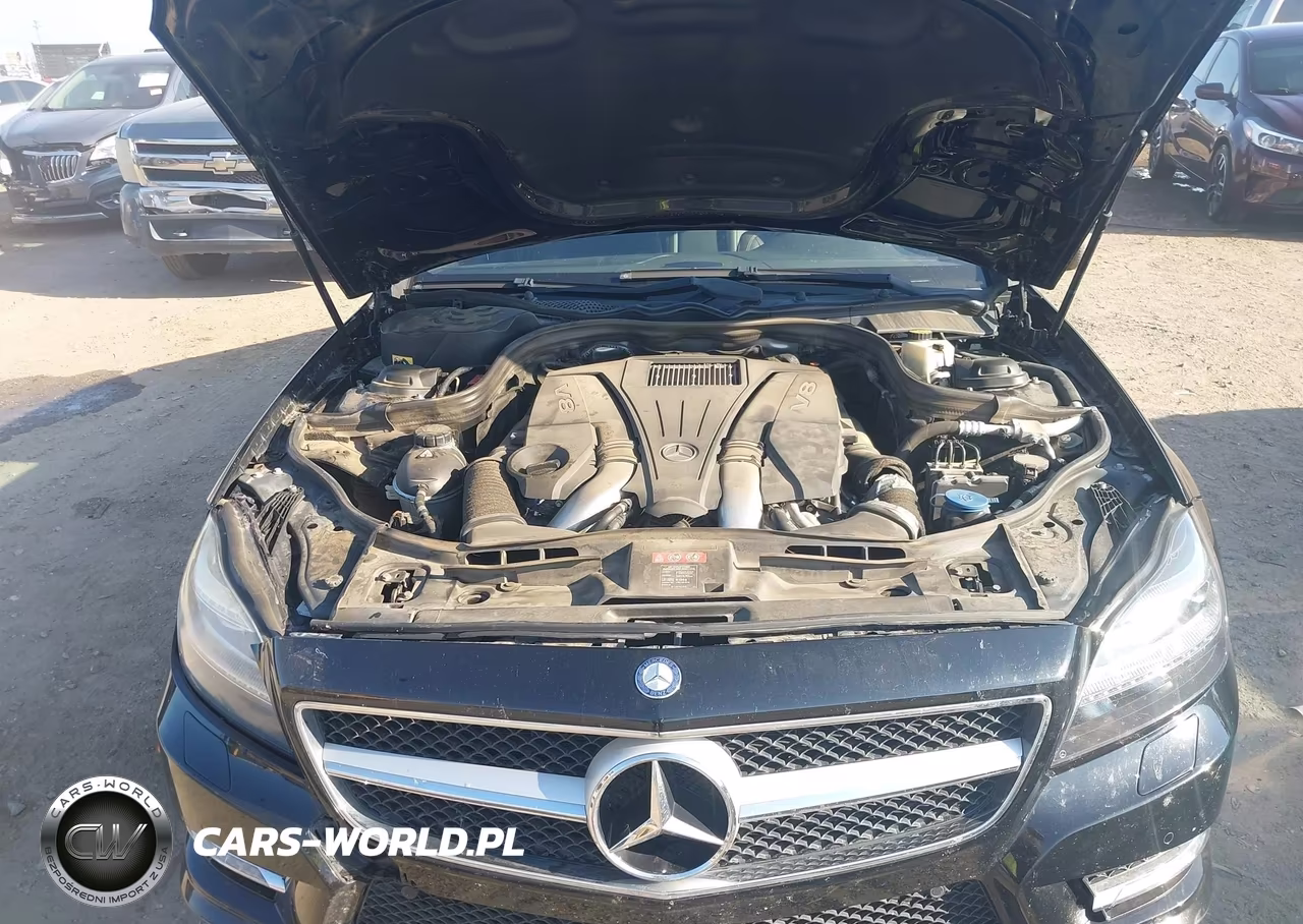 2013 Mercedes-Benz Cls 550 VIN:WDDLJ7DB3DA089180 - 10
