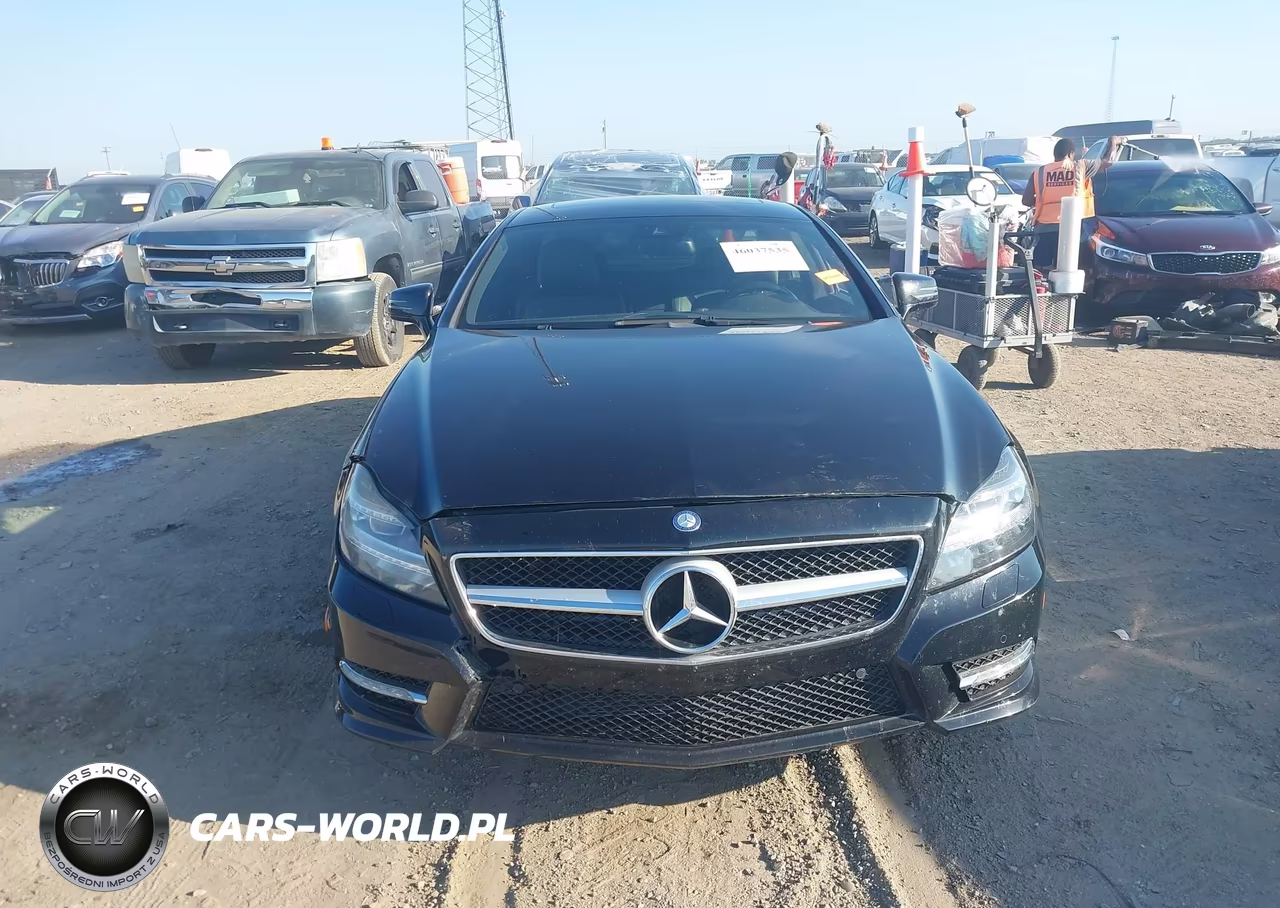 2013 Mercedes-Benz Cls 550 VIN:WDDLJ7DB3DA089180 - 12