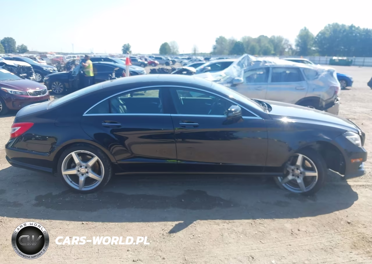 2013 Mercedes-Benz Cls 550 VIN:WDDLJ7DB3DA089180 - 13