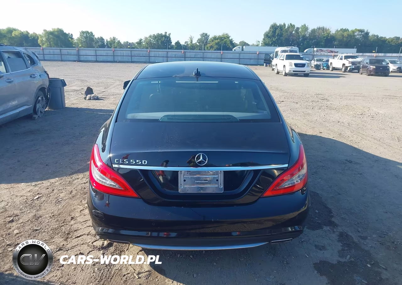 2013 Mercedes-Benz Cls 550 VIN:WDDLJ7DB3DA089180 - 16