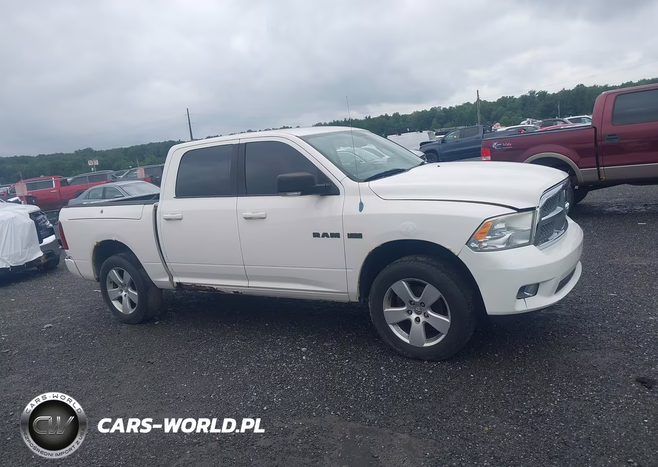 2009 Dodge Ram 1500 Slt-Sport-Trx VIN:1D3HV13T29J515953 - 13
