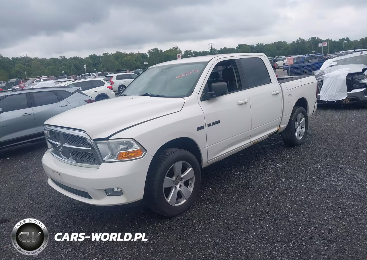 2009 Dodge Ram 1500 Slt-Sport-Trx VIN:1D3HV13T29J515953 - 2