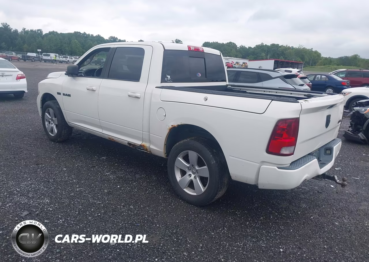 2009 Dodge Ram 1500 Slt-Sport-Trx VIN:1D3HV13T29J515953 - 3
