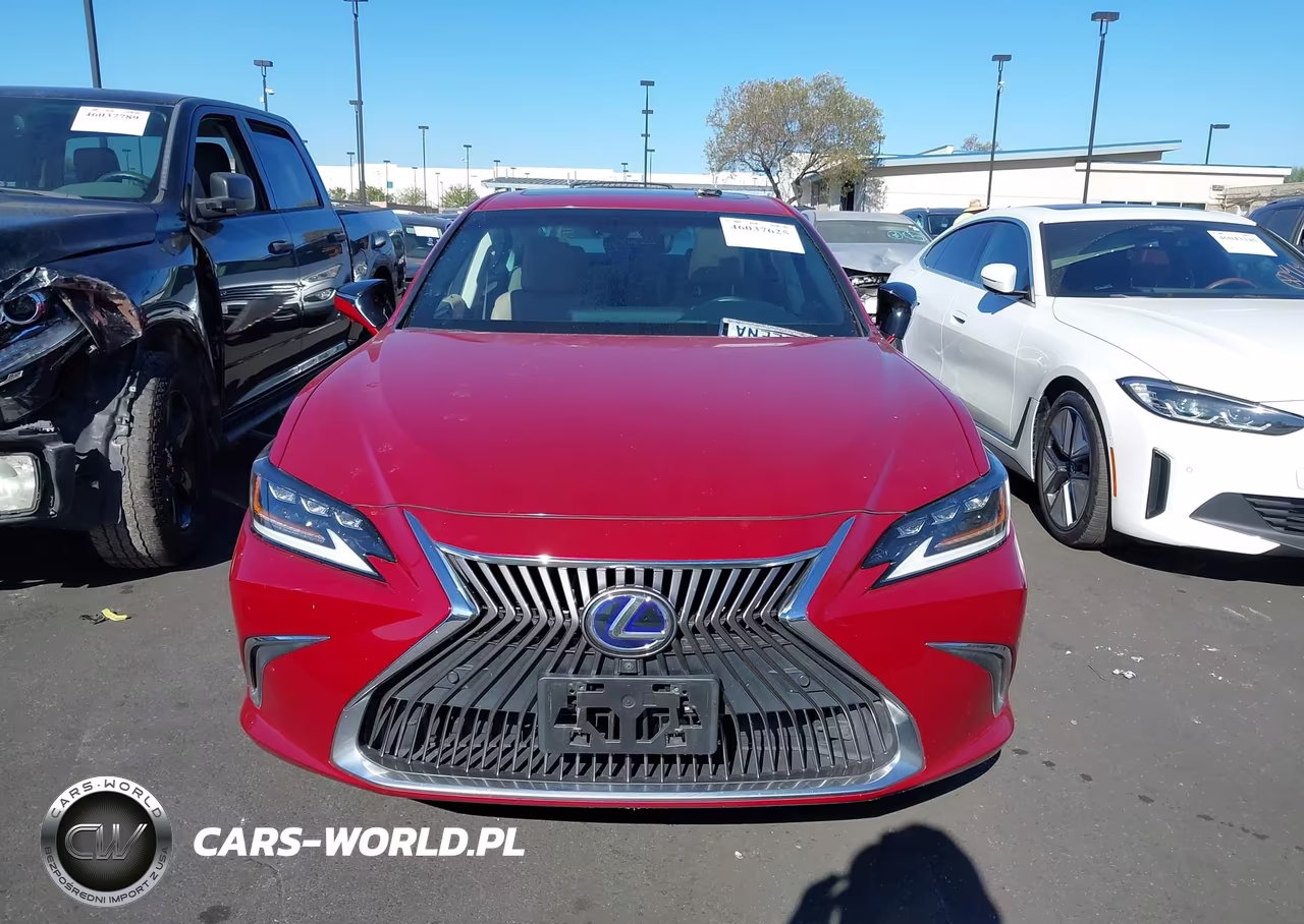 2021 Lexus Es 300H Luxury VIN:58AEA1C10MU007353 - 13