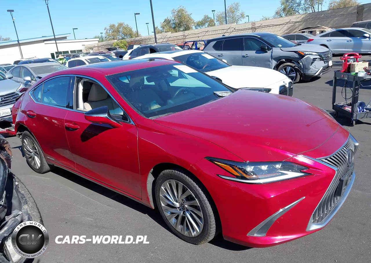 2021 Lexus Es 300H Luxury VIN:58AEA1C10MU007353 - 14