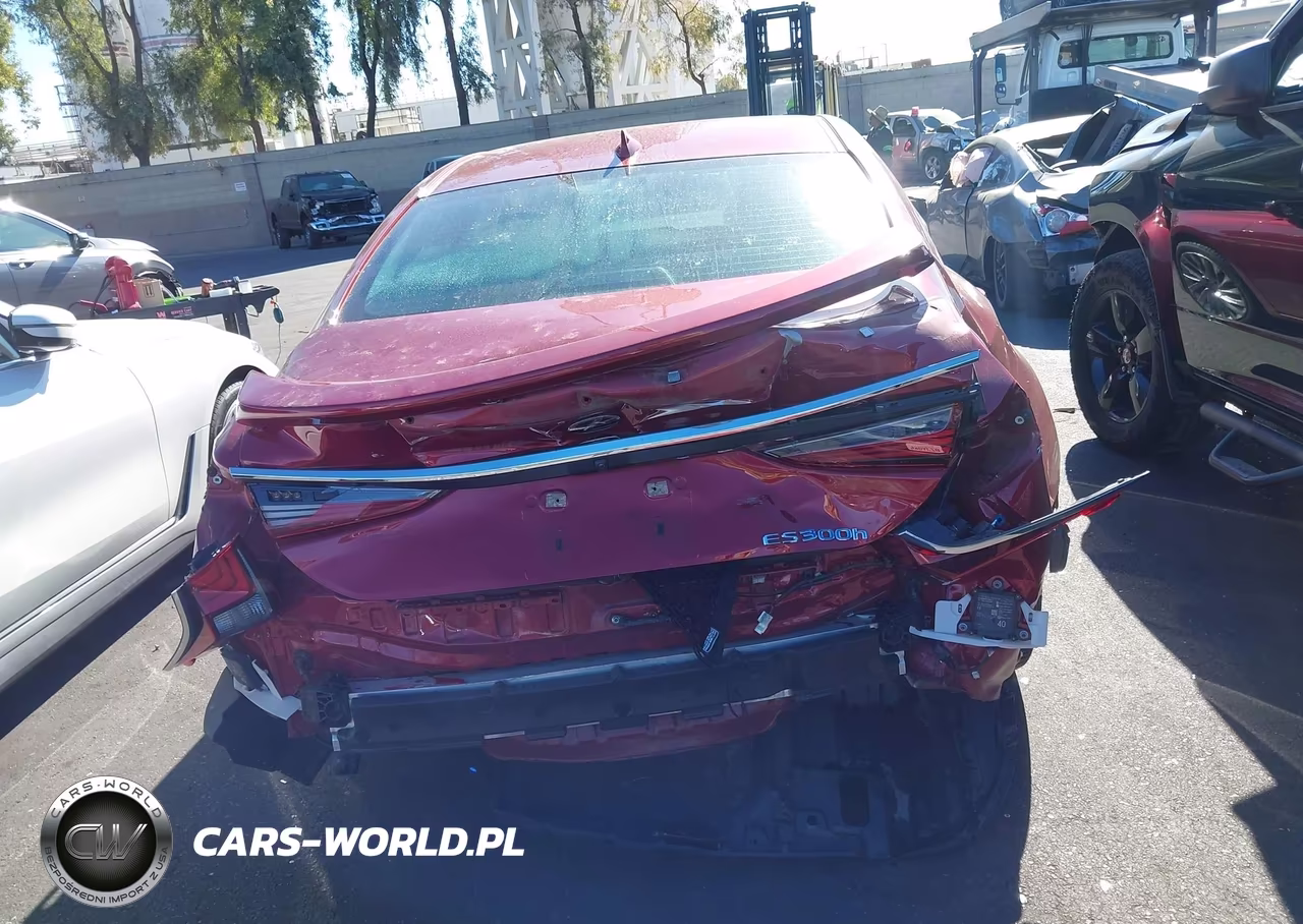2021 Lexus Es 300H Luxury VIN:58AEA1C10MU007353 - 17