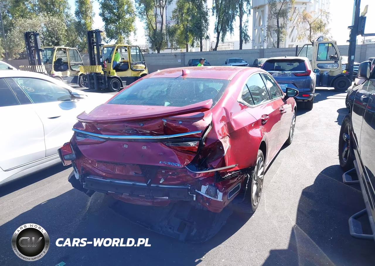 2021 Lexus Es 300H Luxury VIN:58AEA1C10MU007353 - 19