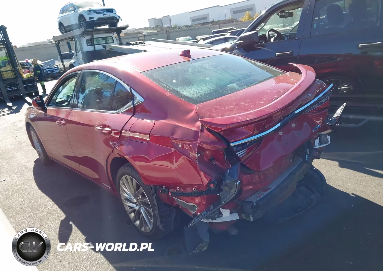 2021 Lexus Es 300H Luxury VIN:58AEA1C10MU007353 - 3