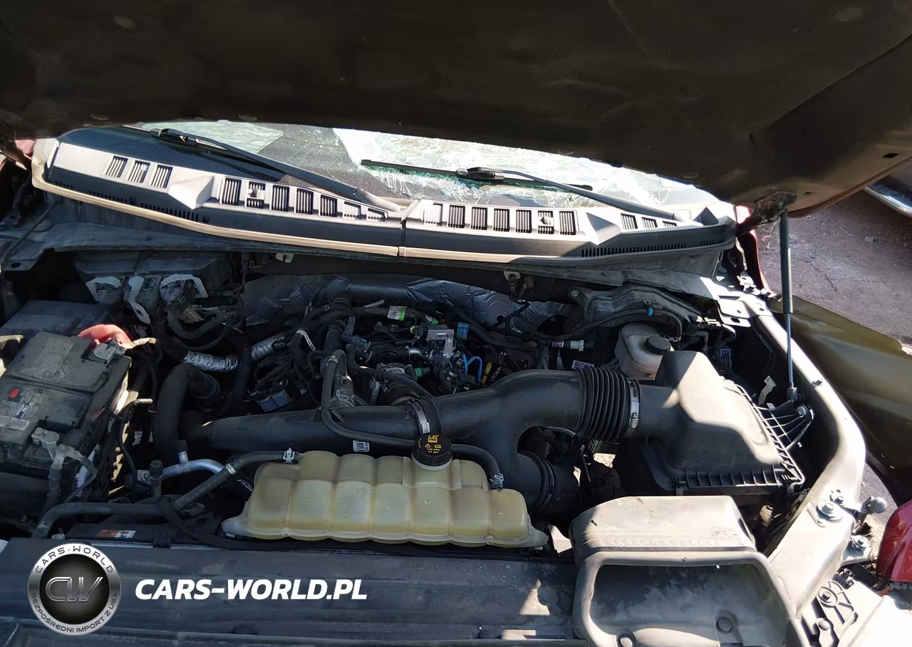 2019 Ford F-150 Xlt VIN:1FTEW1EP7KFB79136 - 10