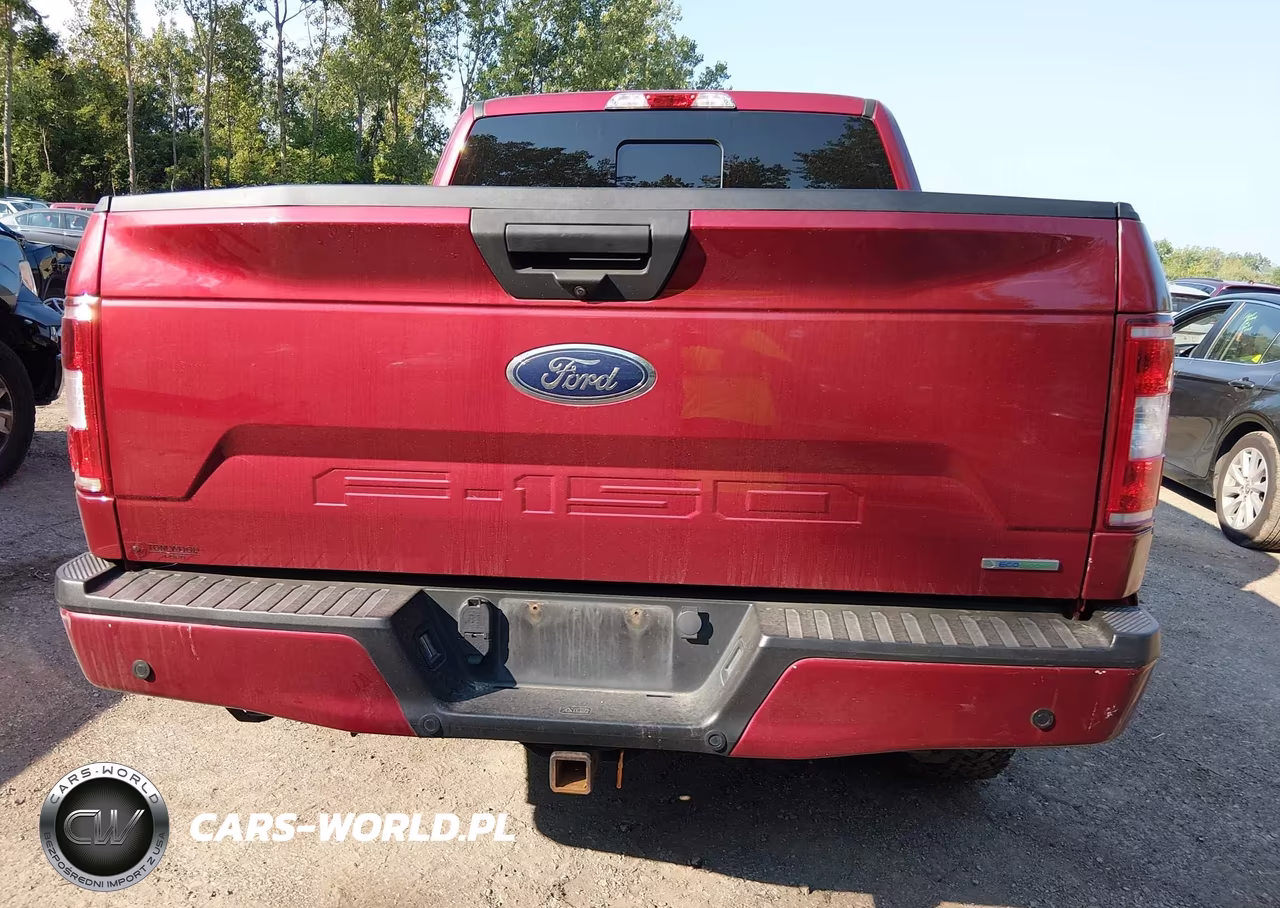 2019 Ford F-150 Xlt VIN:1FTEW1EP7KFB79136 - 16