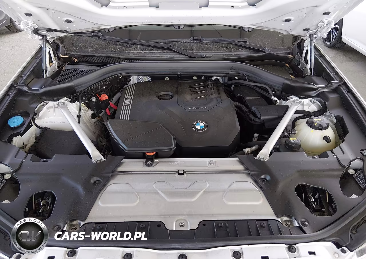 2023 BMW X3 xDrive30I VIN:5UX53DP07P9N87070 - 10