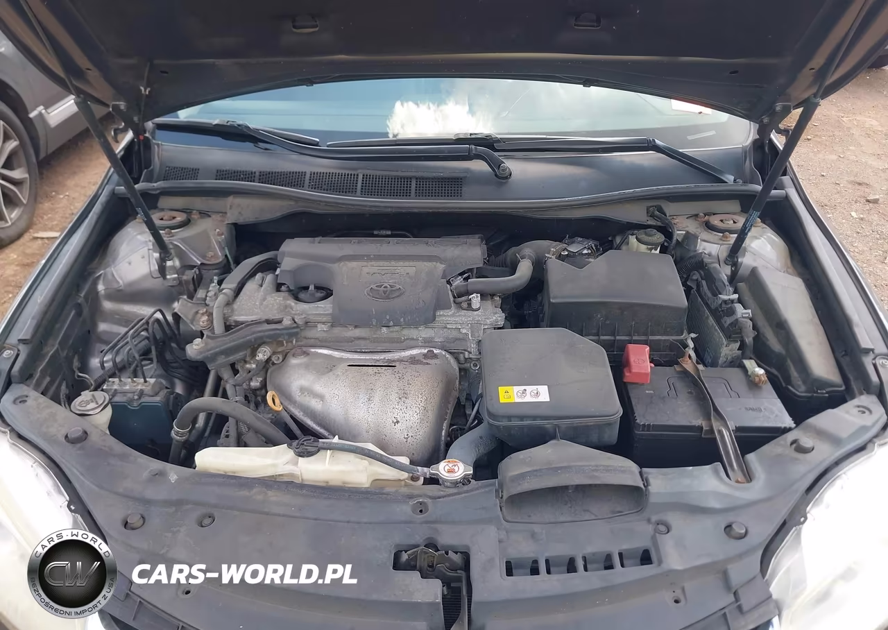 2017 Toyota Camry Xle VIN:4T1BF1FK8HU737727 - 10