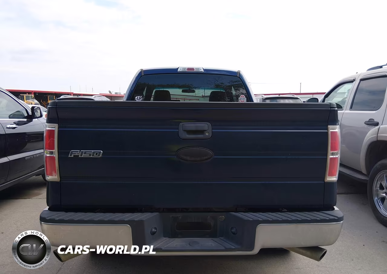 2010 Ford F-150 Fx2 Sport-Stx-Xl-Xlt VIN:1FTEX1C89AKB71568 - 16