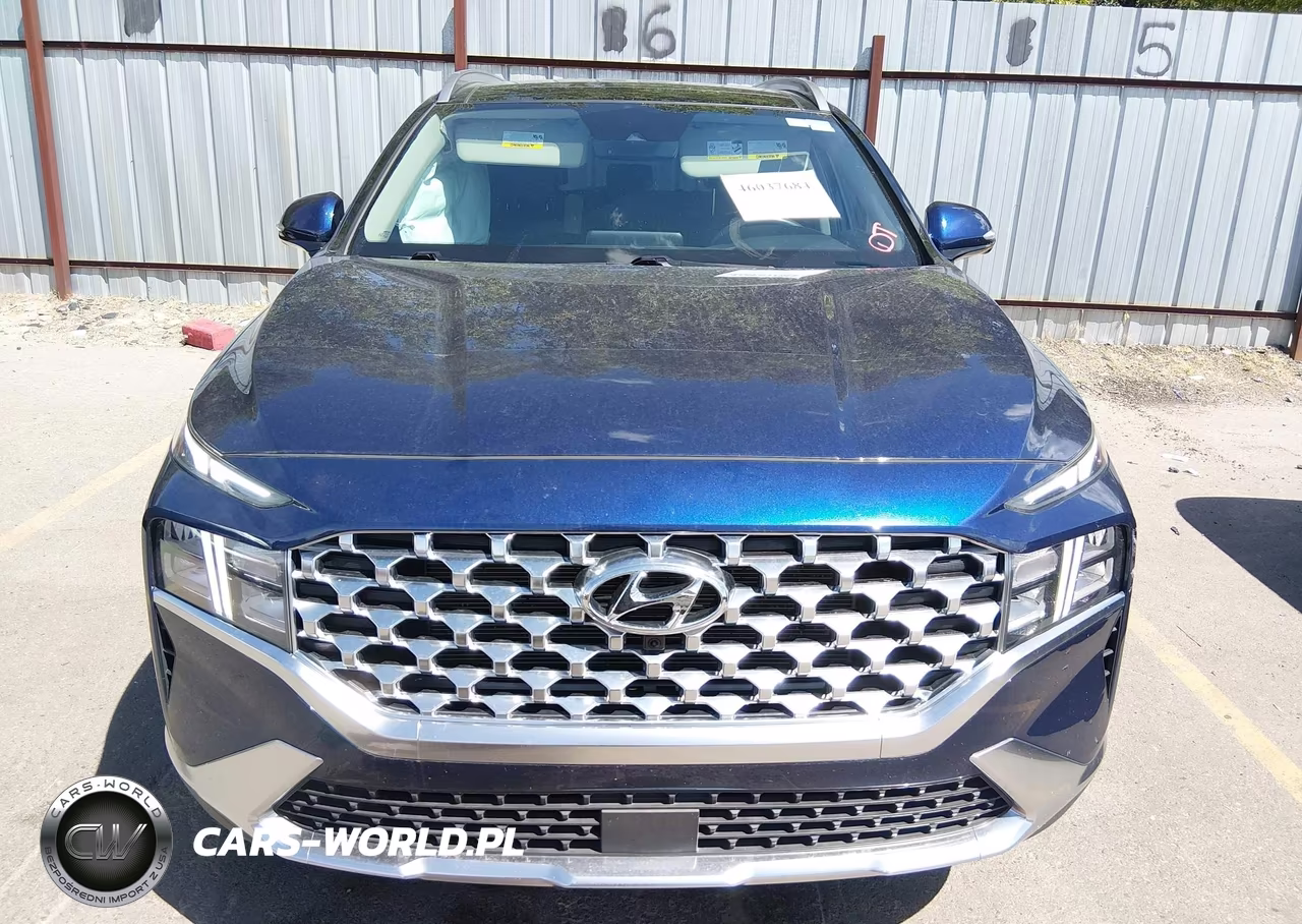 2023 Hyundai Santa Fe Sel VIN:5NMS3DAJ6PH520616 - 12