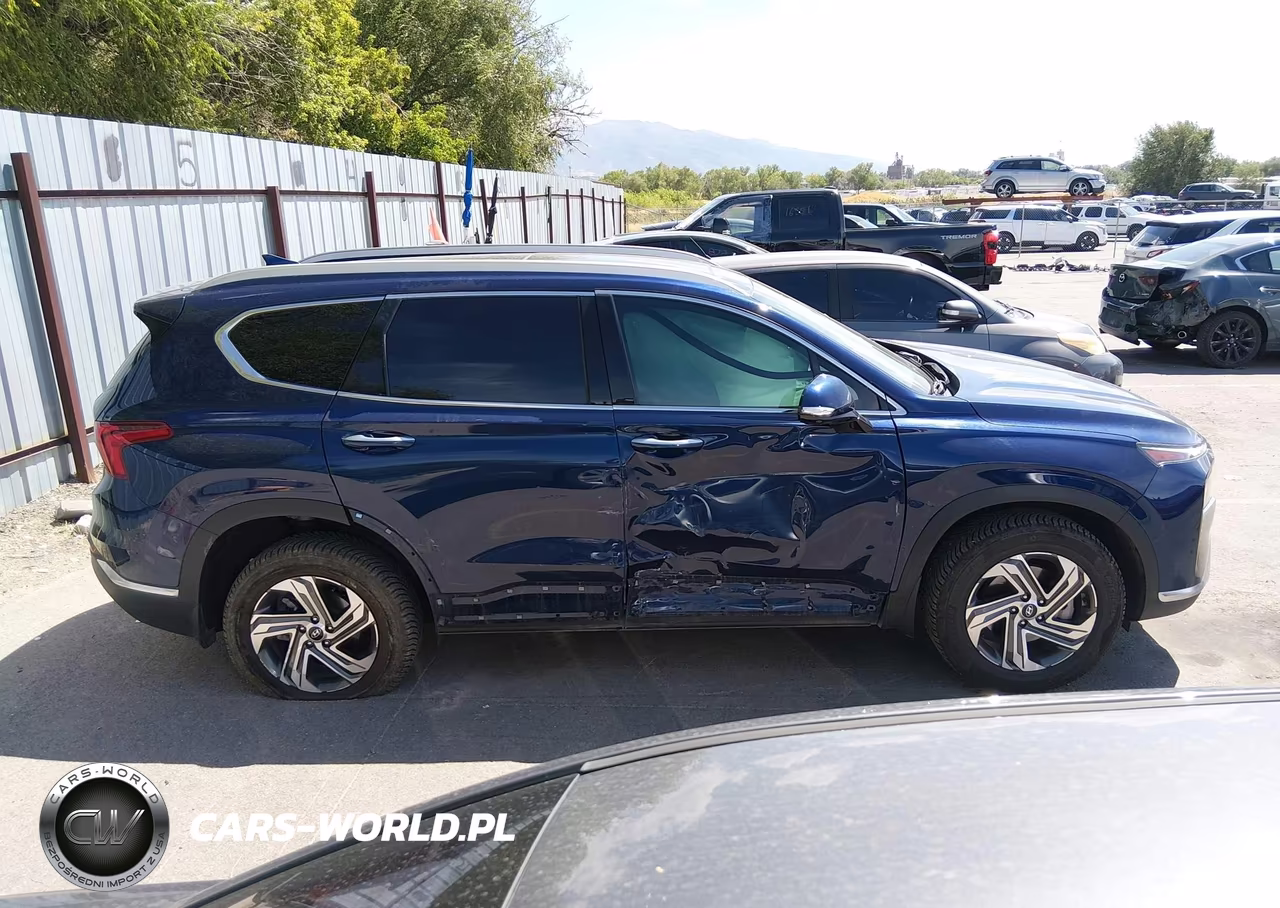 2023 Hyundai Santa Fe Sel VIN:5NMS3DAJ6PH520616 - 13
