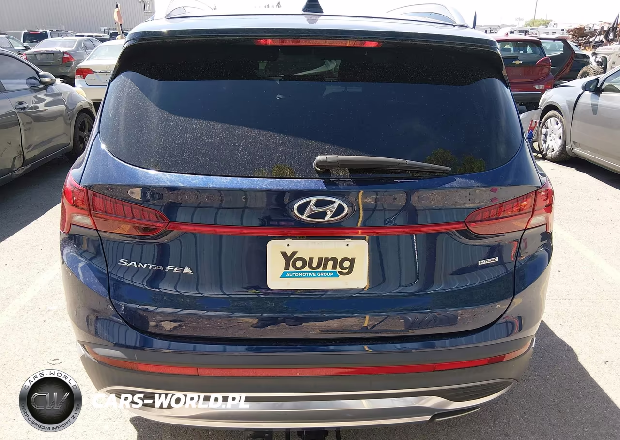 2023 Hyundai Santa Fe Sel VIN:5NMS3DAJ6PH520616 - 16