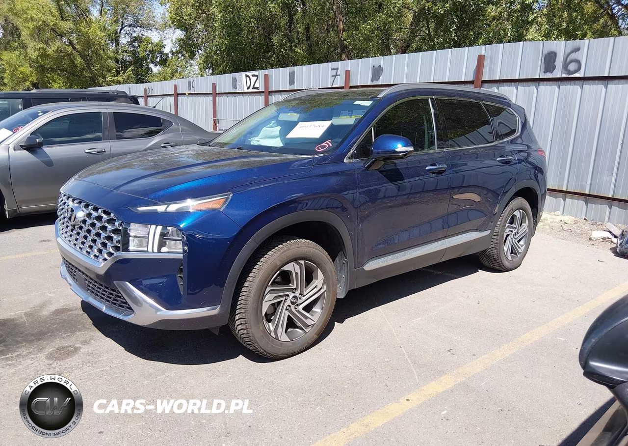 2023 Hyundai Santa Fe Sel VIN:5NMS3DAJ6PH520616 - 2