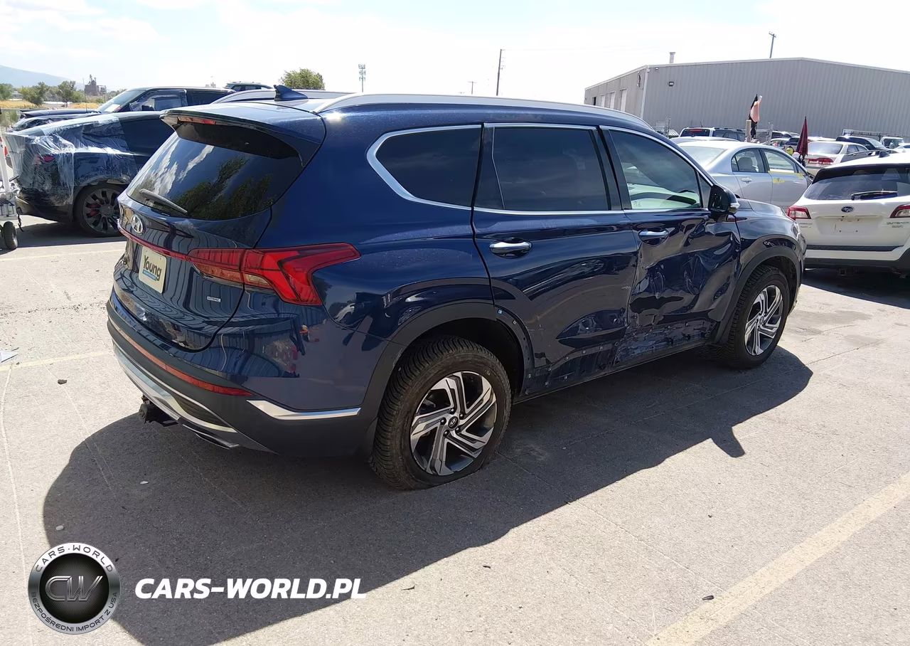 2023 Hyundai Santa Fe Sel VIN:5NMS3DAJ6PH520616 - 4