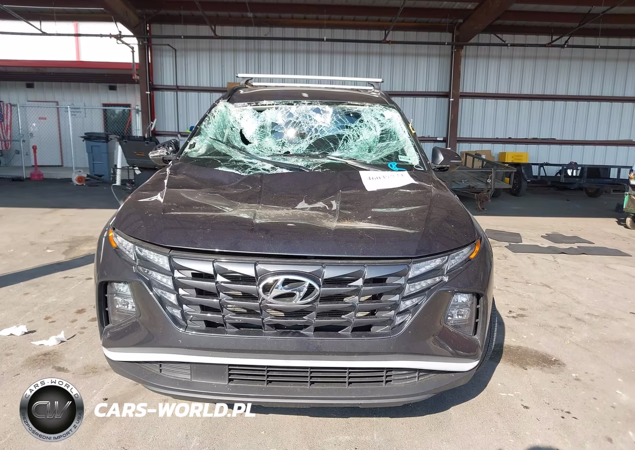 2023 Hyundai Tucson Sel VIN:5NMJB3AE1PH287689 - 12