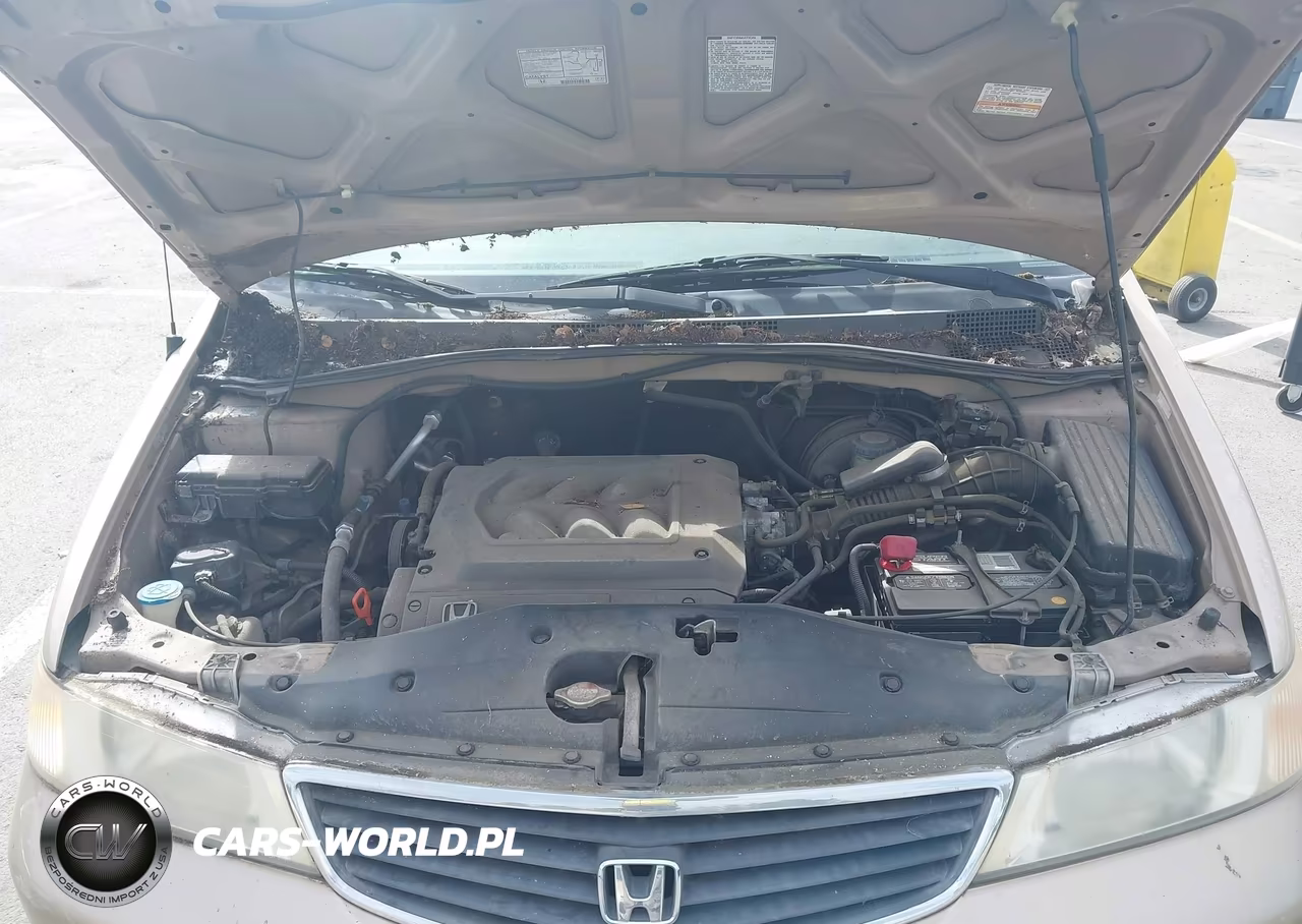 2001 Honda Odyssey Lx VIN:2HKRL185X1H511546 - 10