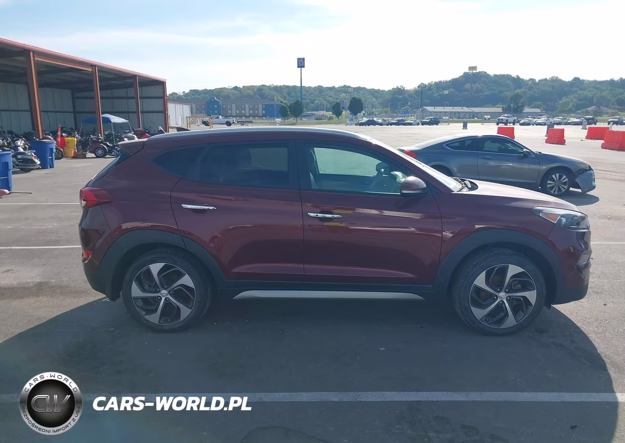 2017 Hyundai Tucson Limited VIN:KM8J3CA24HU304476 - 13