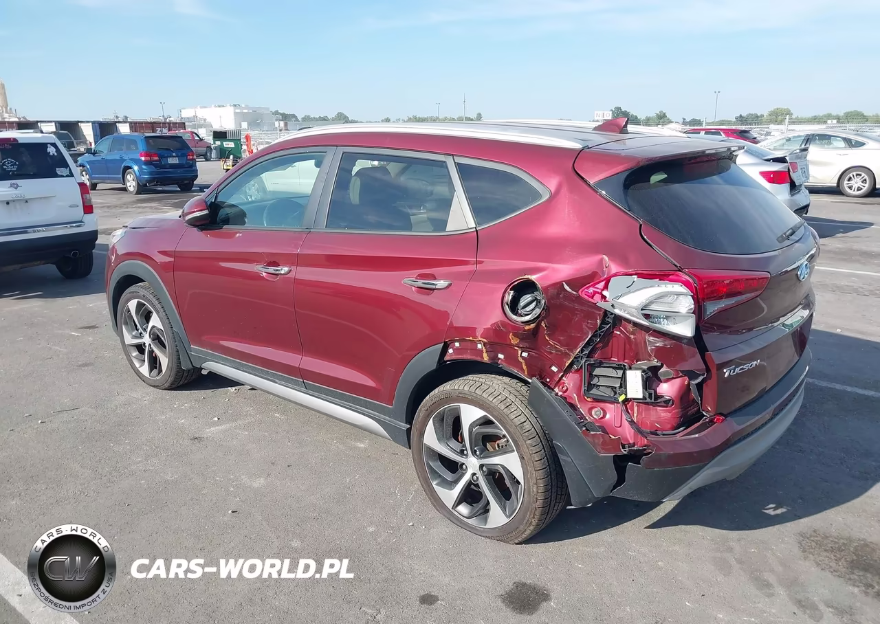 2017 Hyundai Tucson Limited VIN:KM8J3CA24HU304476 - 3
