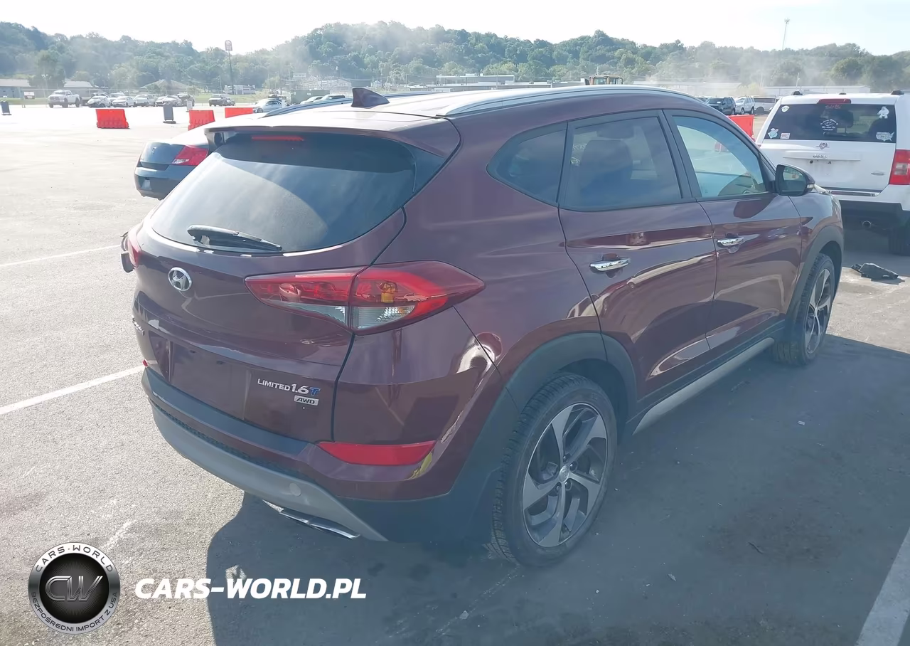 2017 Hyundai Tucson Limited VIN:KM8J3CA24HU304476 - 4