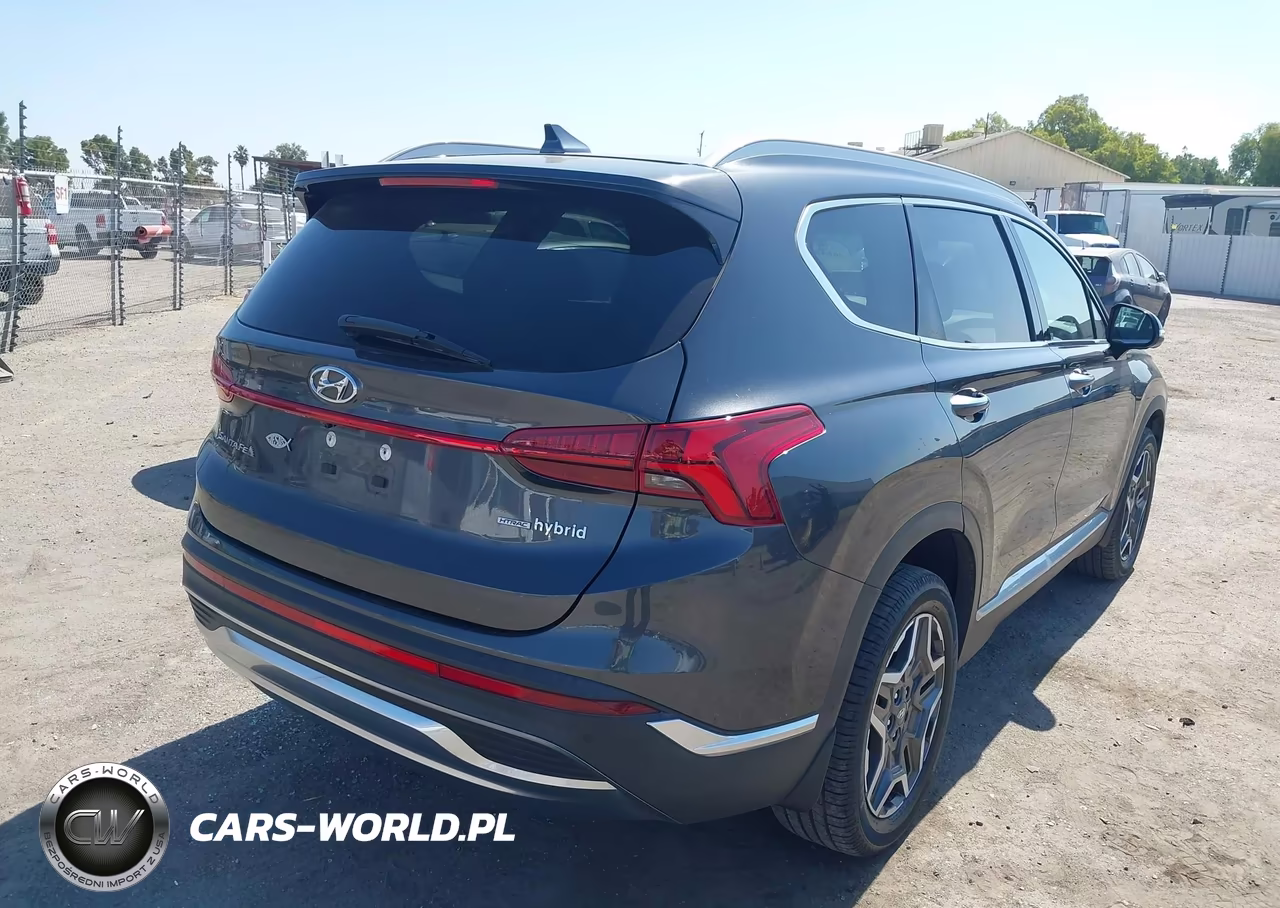 2023 Hyundai Santa Fe Hybrid Limited VIN:5NMS5DA10PH007789 - 4
