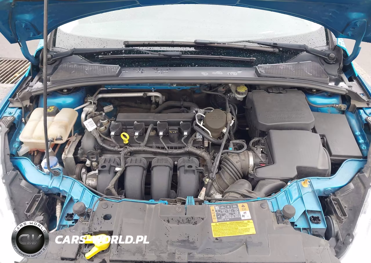 2015 Ford Focus Se VIN:1FADP3K26FL355460 - 10