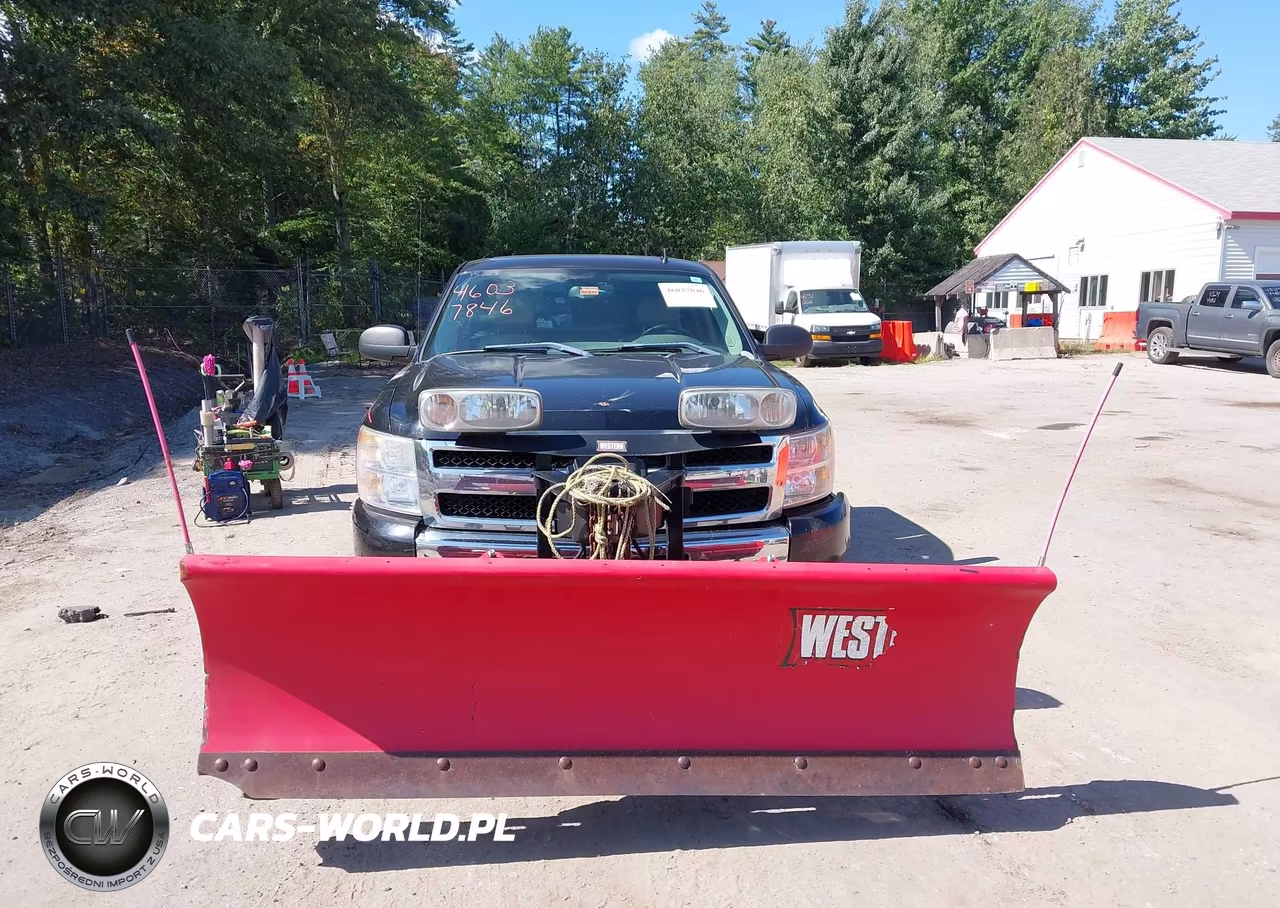 2009 Chevrolet Silverado 1500 Lt VIN:1GCEK29049Z184155 - 12