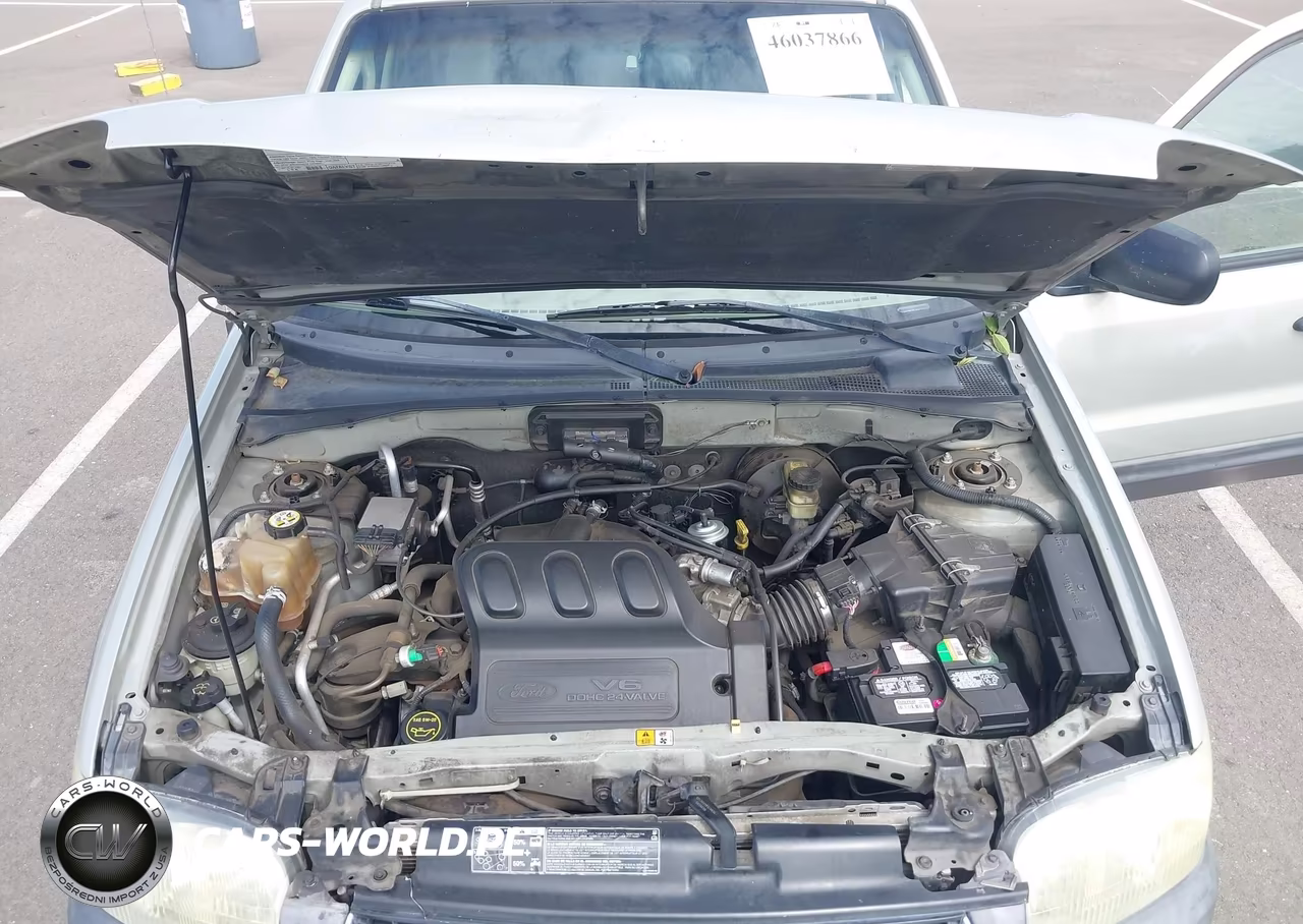 2004 Ford Escape Xlt VIN:1FMYU03184KB49807 - 10