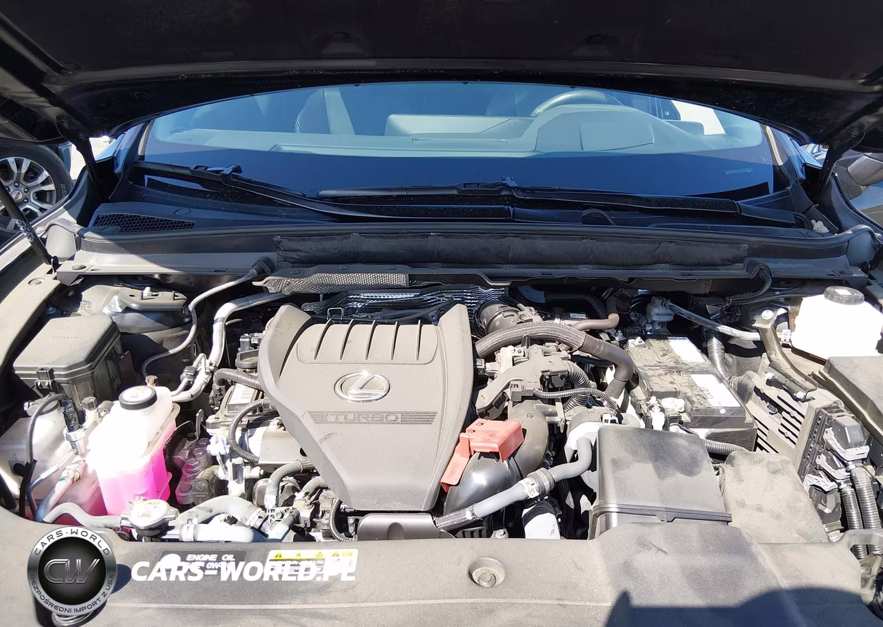 2024 Lexus Rx 350 Premium Plus VIN:2T2BAMBA5RC047784 - 10