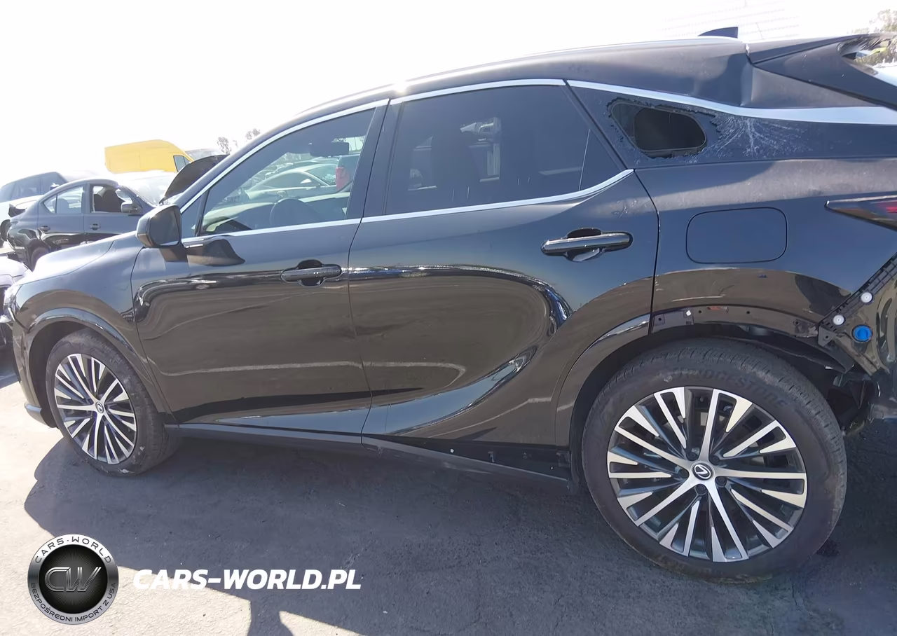 2024 Lexus Rx 350 Premium Plus VIN:2T2BAMBA5RC047784 - 14