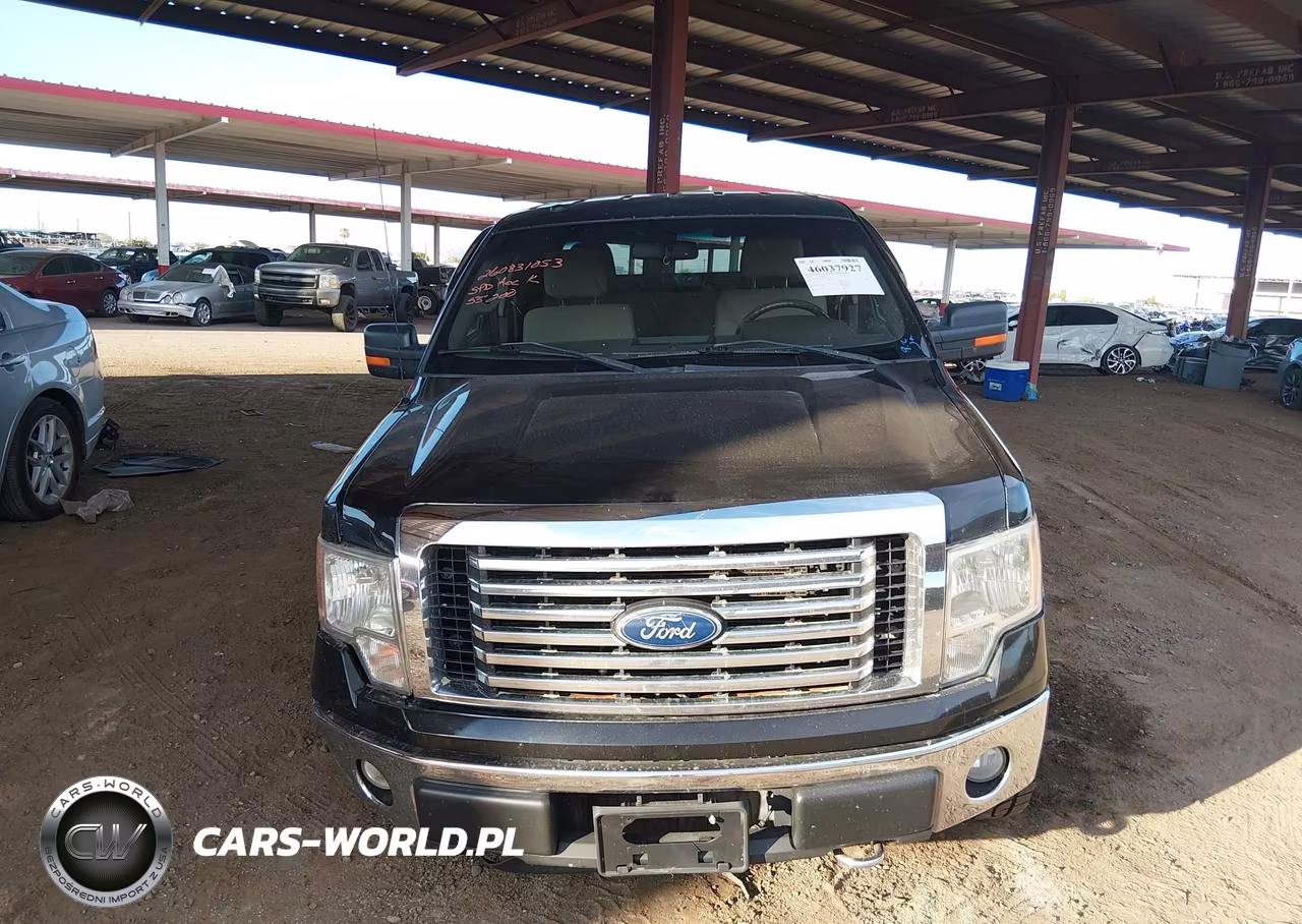 2010 Ford F-150 Fx4-Lariat-Xl-Xlt VIN:1FTFX1EV8AKB45728 - 12