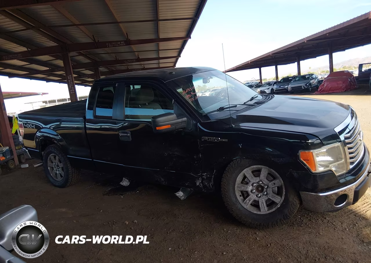 2010 Ford F-150 Fx4-Lariat-Xl-Xlt VIN:1FTFX1EV8AKB45728 - 13