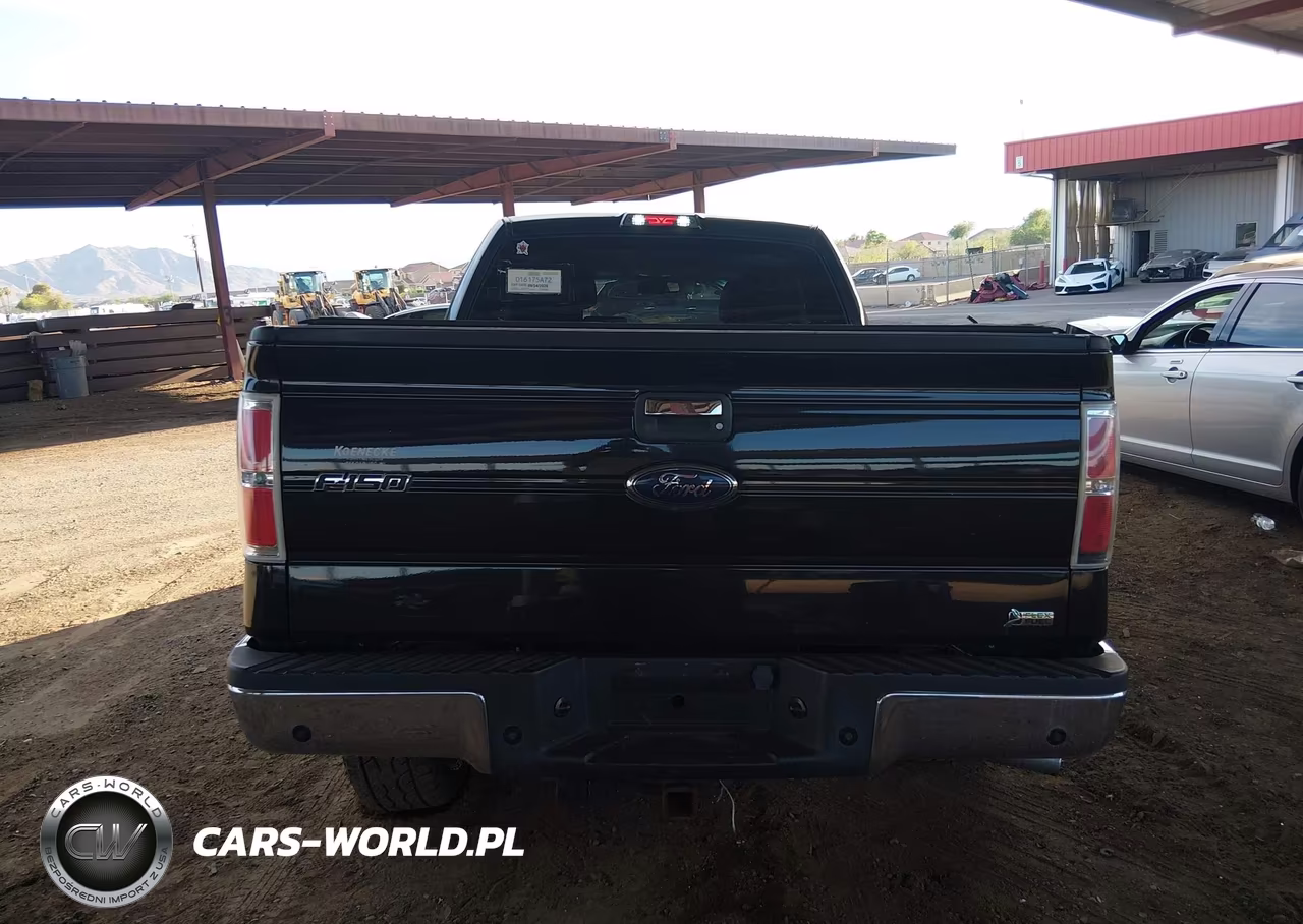 2010 Ford F-150 Fx4-Lariat-Xl-Xlt VIN:1FTFX1EV8AKB45728 - 16