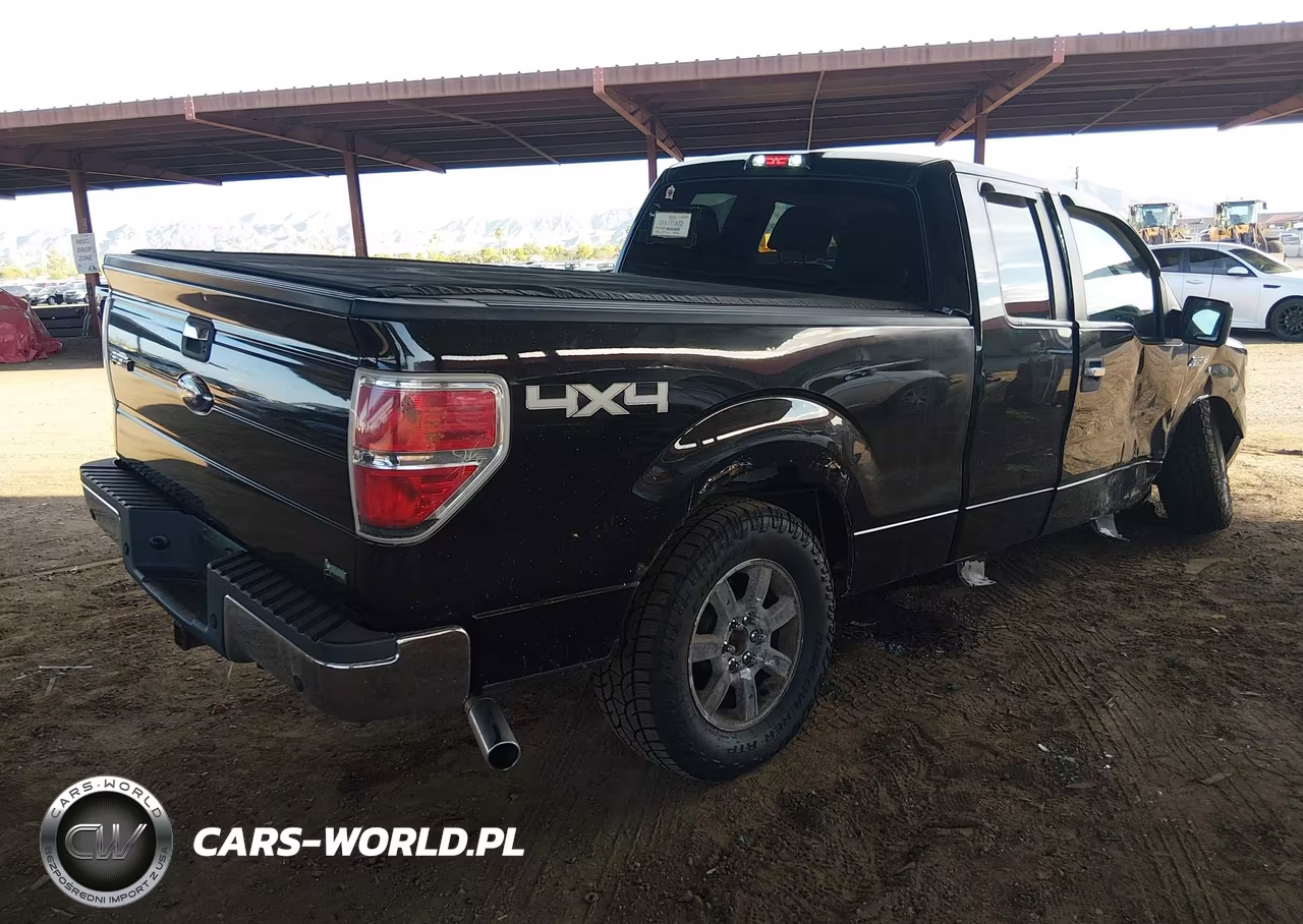 2010 Ford F-150 Fx4-Lariat-Xl-Xlt VIN:1FTFX1EV8AKB45728 - 4