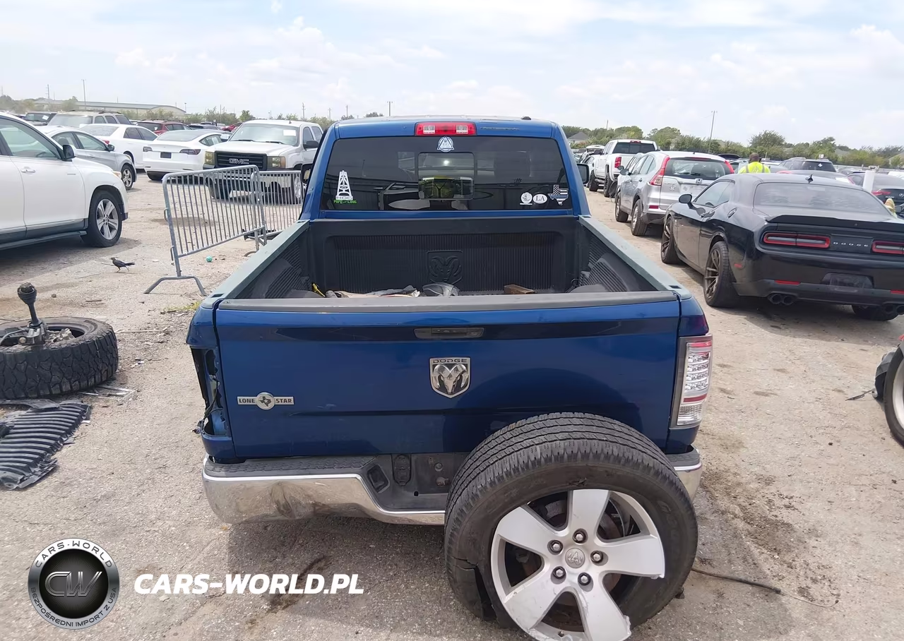2010 Dodge Ram 1500 Slt-Sport-Trx VIN:1D7RB1GP7AS126748 - 16