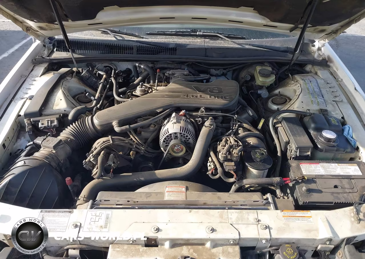 1995 Ford Thunderbird Lx VIN:1FALP62W3SH113089 - 10